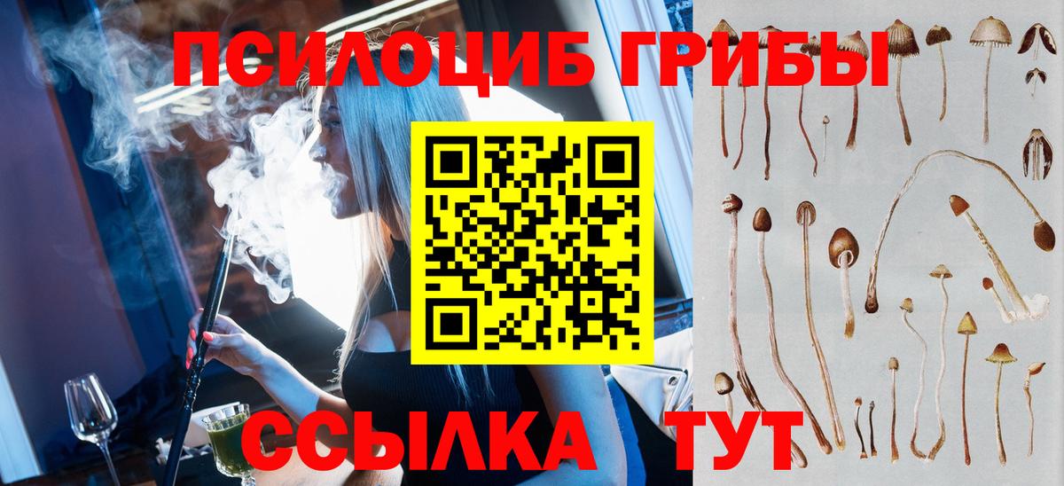 Уссурийск  закладка  Вход с VPN  Галлюциногенные грибы MAGIC MUSHROOMS 
