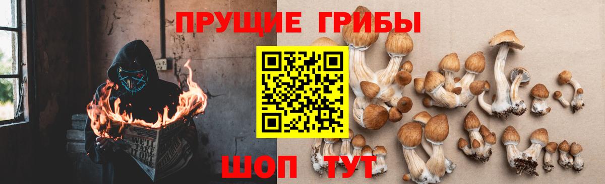 Псилоцибиновые грибы ЛСД Уссурийск